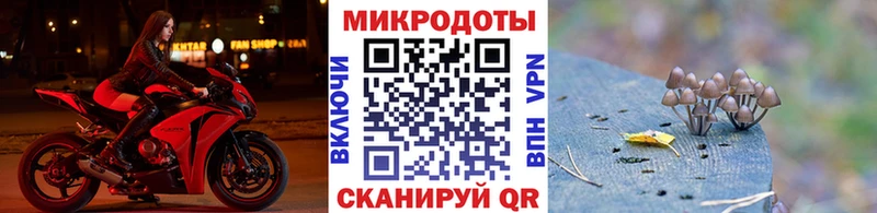 Галлюциногенные грибы мухоморы  МЕГА рабочий сайт  Чаплыгин 